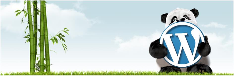 Wordpress外贸建站教程:使用Imagify插件压缩图片,给网站加速-悦然跨境出海 Wordpress外贸建站教程:使用Imagify插件压缩图片,给网站加速-悦然跨境出海