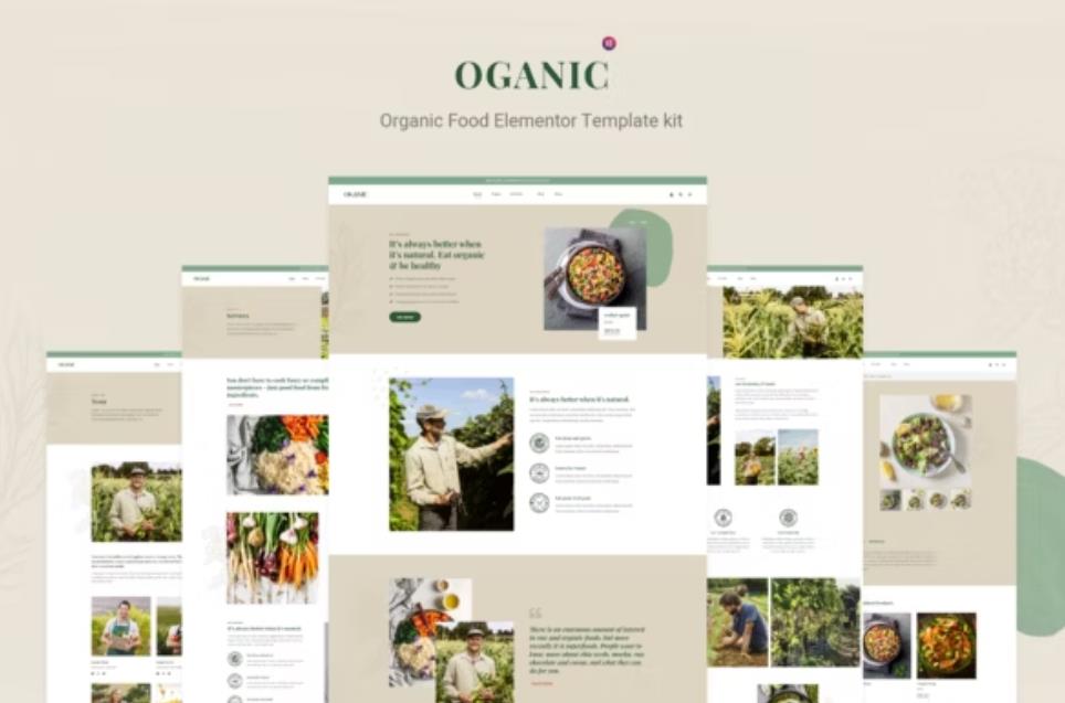 YE040-Elementor外贸网站模板,B2B/B2C农产品有机食品商城网站模板,通用型wordpress成品网站模板